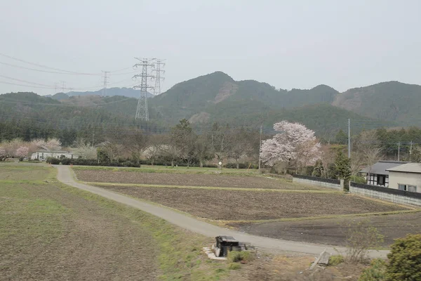 kırsal trenle görünümünü 