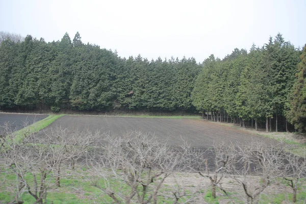 kırsal trenle görünümünü 