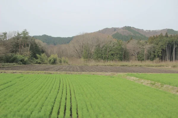 kırsal trenle görünümünü 