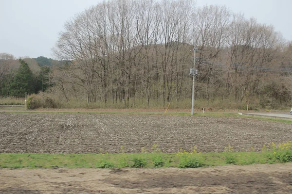 trenle kırsal bir görünümünü 