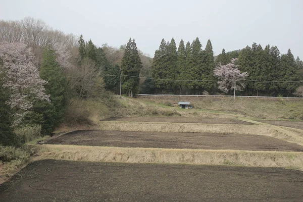 View of countryside by train — Stock Photo, Image