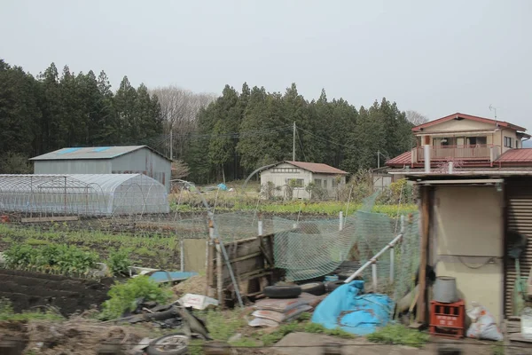 trenle manzara görünümü 