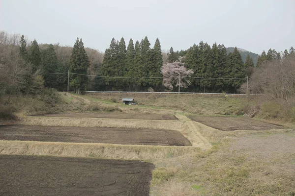 kırsal trenle görünümünü 