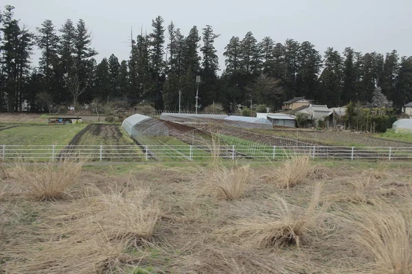 kırsal trenle görünümünü 