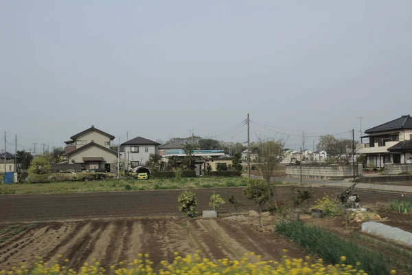 kırlarda trenle görünümünü 