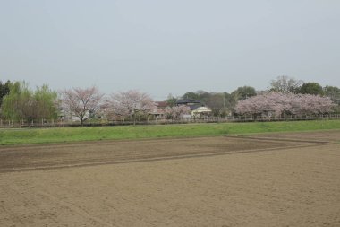 Nikko Kinugawa trenle manzara 