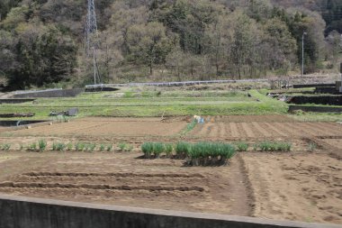 Yamanashi at2016 ülke tarafı