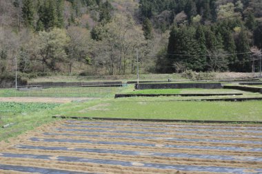 Yamanashi at2016 ülke tarafı