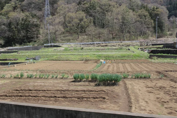 Yamanashi at2016 ülke tarafı