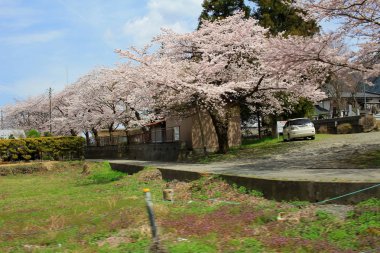 Shimo Yoshida ilçeleri Yamanashi 