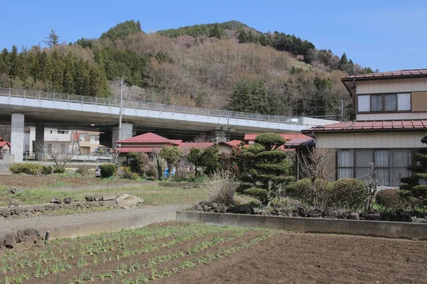 Shimo Yoshida ilçeleri Yamanashi 