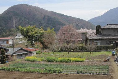 kırsal Yamanashi at2016