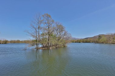 Japonya pastoral gölde. Lake Onuma, Hakodate, Hokkaido, Japonya