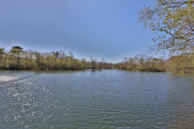 Japonya pastoral gölde. Lake Onuma, Hakodate, Hokkaido