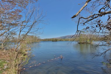 Japonya pastoral gölde. Lake Onuma, Hakodate, Hokkaido, Japonya