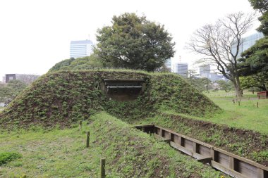 Shogun Tokugawa ördek av yeri olarak