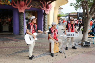 Ocean Park, hk'daki en popüler gezi yerleri