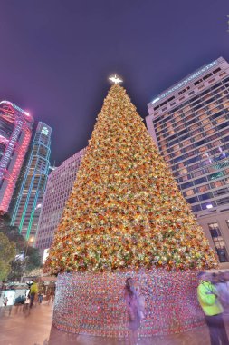 xmas önce geceleri larget xmas ağacı 