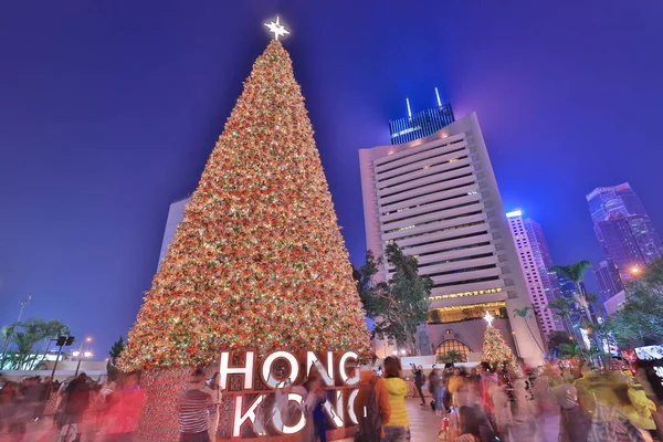 El árbol de Navidad larget en la noche antes de Navidad — Foto de Stock
