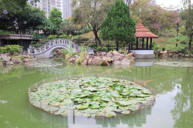sha tin parkta hong kong gündüz