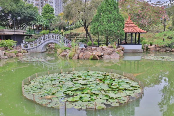 De sha tin park hong kong dagtijd — Stockfoto