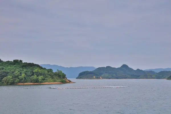 Paneles solares en el embalse de Plover Cove de agua —  Fotos de Stock