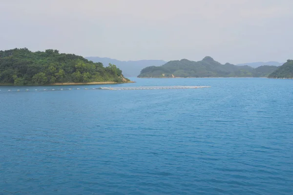 Solar panels on water Plover Cove Reservoir — Stock Photo, Image