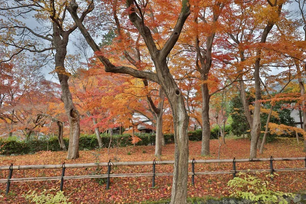 Le jardin Shinsho gokuraku ji à l'automne — Photo