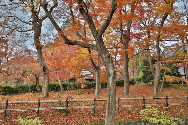 El jardín Shinsho gokuraku ji en otoño — Foto de Stock