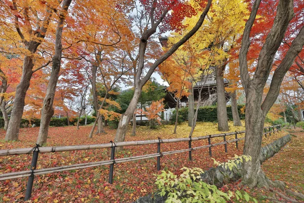 Der Shinsho Gokuraku ji Garten im Herbst — Stockfoto