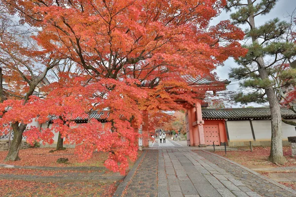 Осенью сад Гокураку Синсё. — стоковое фото