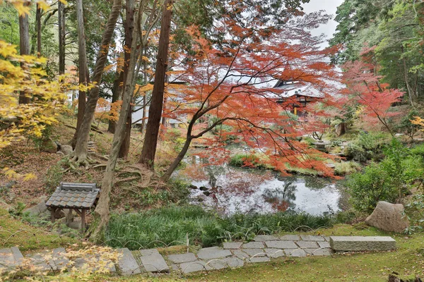 Autam trädgården i Konkai Komyoji Temple — Stockfoto