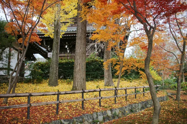 Vista do jardim do Shinnyo no outono — Fotografia de Stock