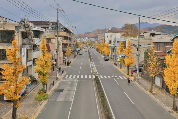 Een straatmening van Shirakawa Dori in kyoto — Stockfoto