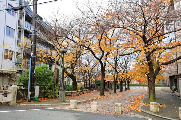 Vue journalière du quartier de Gion, Kyoto, Japon — Photo