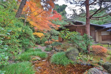 Budist tapınağında Chion 'da yuzen en bahçesinde görüntüle. 