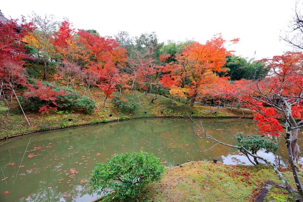 Una Puerta Principal Zen Jardín Chion — Foto de Stock