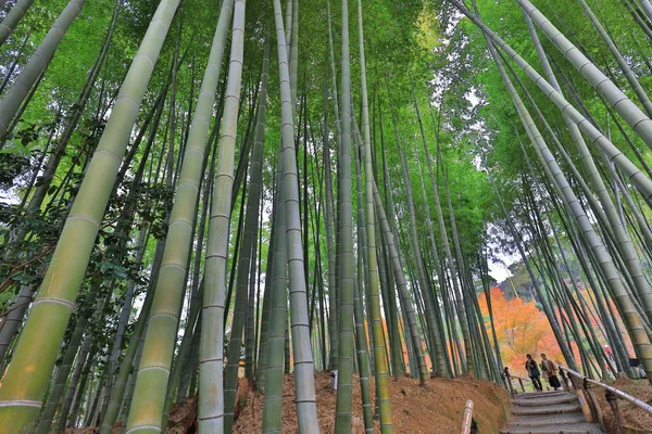 Chion 禅园主门 — 图库照片