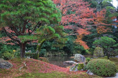 O Zen Bahçe, Chion Kyoto