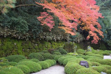 Chion bahçesinde sonbahar mevsimi