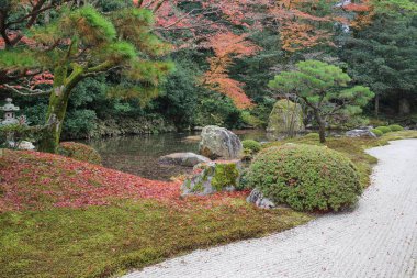 Chion bahçesinde sonbahar mevsimi