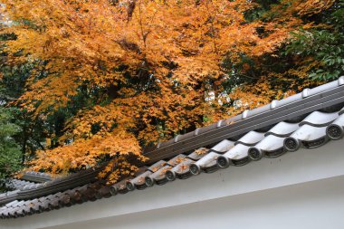 Chion karmaşık Kyoto tapınakta