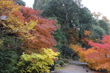 Zen Bahçe gölet, taş, çakıl ve Moss ile