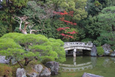 Zen Bahçe gölet, taş, çakıl ve Moss ile