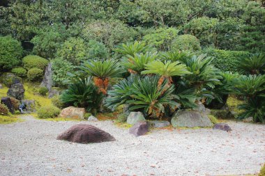 Zen Bahçe gölet, taş, çakıl ve Moss ile