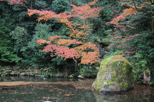 HE ZEN garden of Chion in Kyoto — Stock Photo, Image