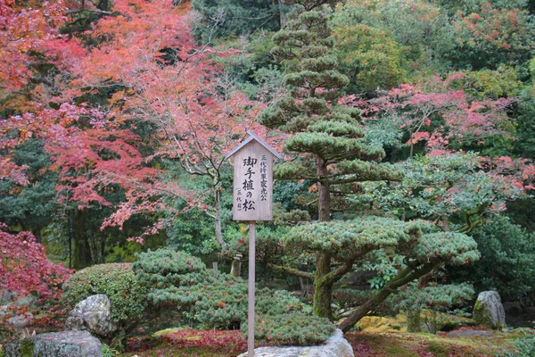 Han Zen trädgård av Chion i Kyoto — Stockfoto