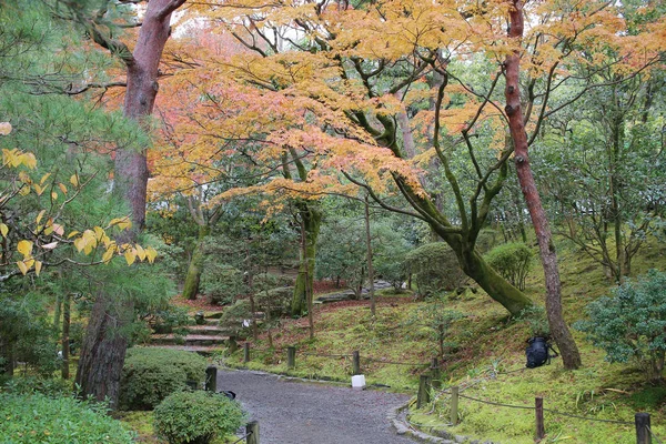 Jardin zen avec étang, rochers, gravier et mousse — Photo