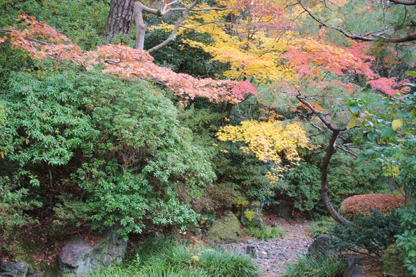 Zen zahrada s jezírkem, kameny, štěrk a Moss — Stock fotografie