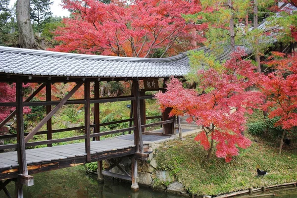 Pont Kangetsu dai dans le jardin kyoto — Photo